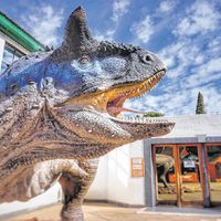 El Chocón se movilizó para exigir respuestas y la reapertura del Museo Paleontológico