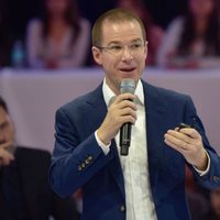 Anaya aplaude presencia de observadores de la OEA en el proceso electoral mexicano