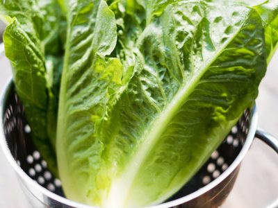Lechuga rellena con palta y huevos: para una comida ligera, fresca y saludable