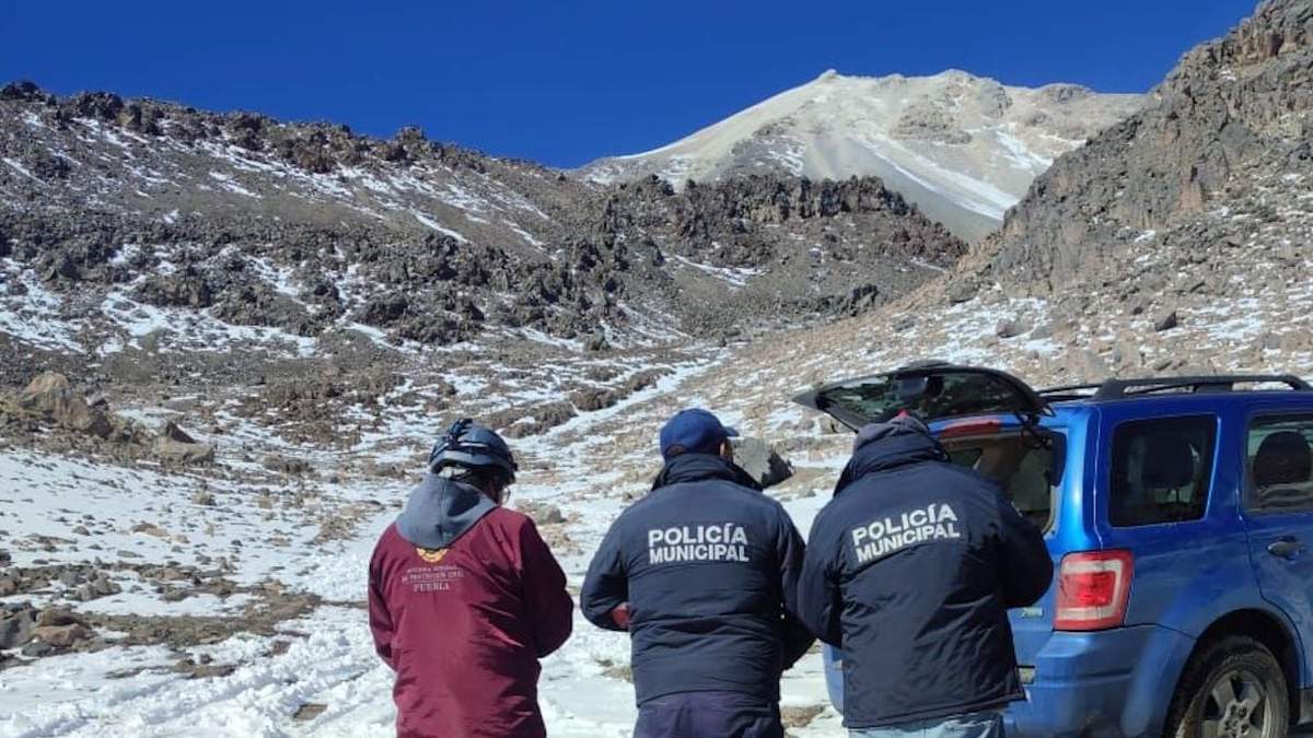 Labores de búsqueda