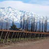 La mejor bodega del mundo es argentina