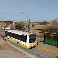 Debido a los accidentes viales, analizan modificar el Metrobús