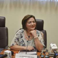 ¿Cuándo rendirán protesta Guadalupe Taddei Zavala y los nuevos consejeros electorales?
