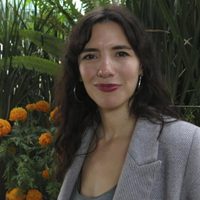 “Tótem” y “El eco” son nominadas a mejor película en los Premios Ariel