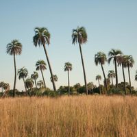 Reabre el Parque Nacional Mburucuyá⁣ y recibe al turismo con protocolos