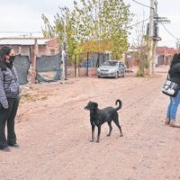 Coronavirus en Neuquén: otro paciente fallecido y 15 nuevos casos