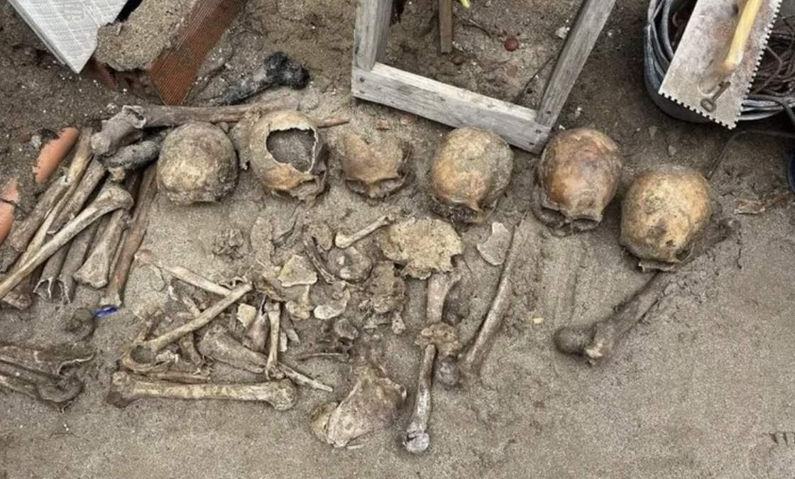 Cráneos encontrados en una propiedad de Ostende, en la provincia de Buenos Aires