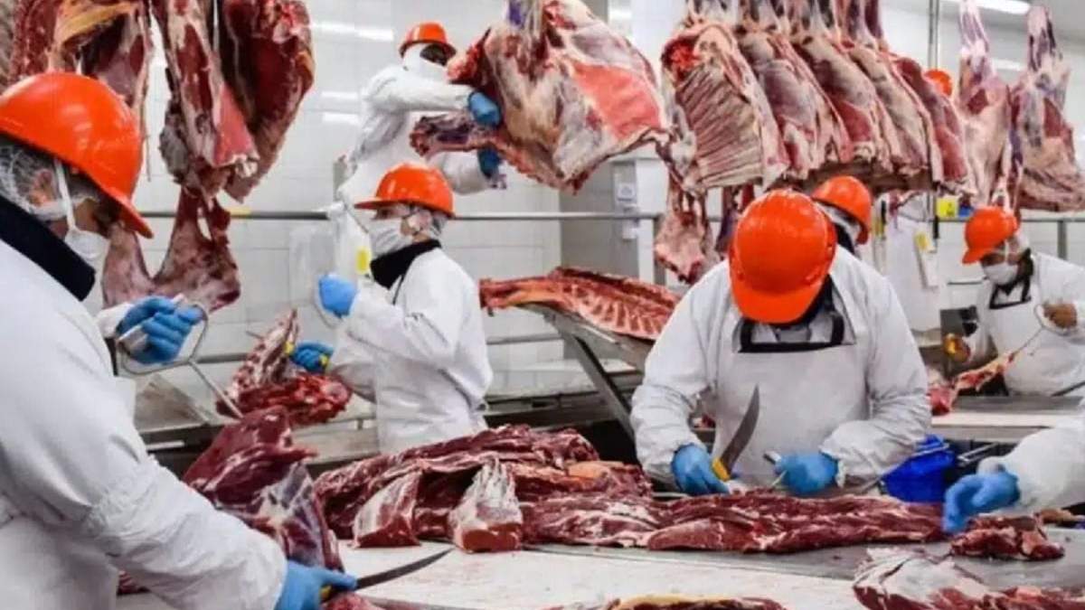 Exportaciones de carne. Fuente: (Instagram)