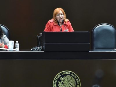 Rosario Piedra propone la disolución de la CNDH para crear la Defensoría de los derechos del pueblo