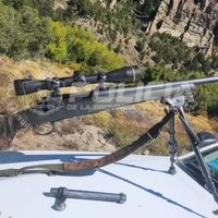 Operativo en Ruta 63: encuentran a seis hombres que cazaron un ciervo colorado en Villa Traful