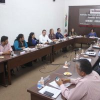 Aprueban registro de dos precandidatos independientes en Quintana Roo