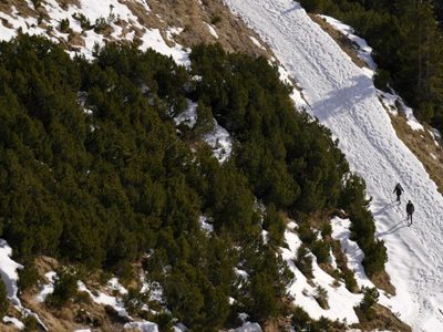 Niños austriacos demandan al gobierno para garantizar sus derechos contra el cambio climático