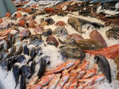 “Pescadazo” en el Congreso: “Estamos al servicio de la ciudadanía”