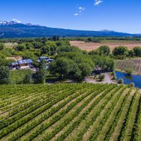 Viñedos y el mejor entorno para disfrutar de la Cordillera