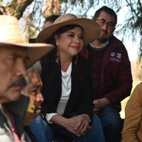 Brugada insta a autoridades del Estado de México y Morelos a combatir juntos la tala clandestina