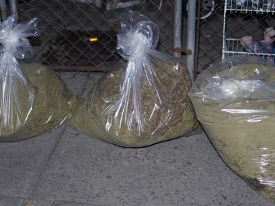 Autoridad asegura 350 kilogramos de marihuana en la alcaldía Venustiano Carranza