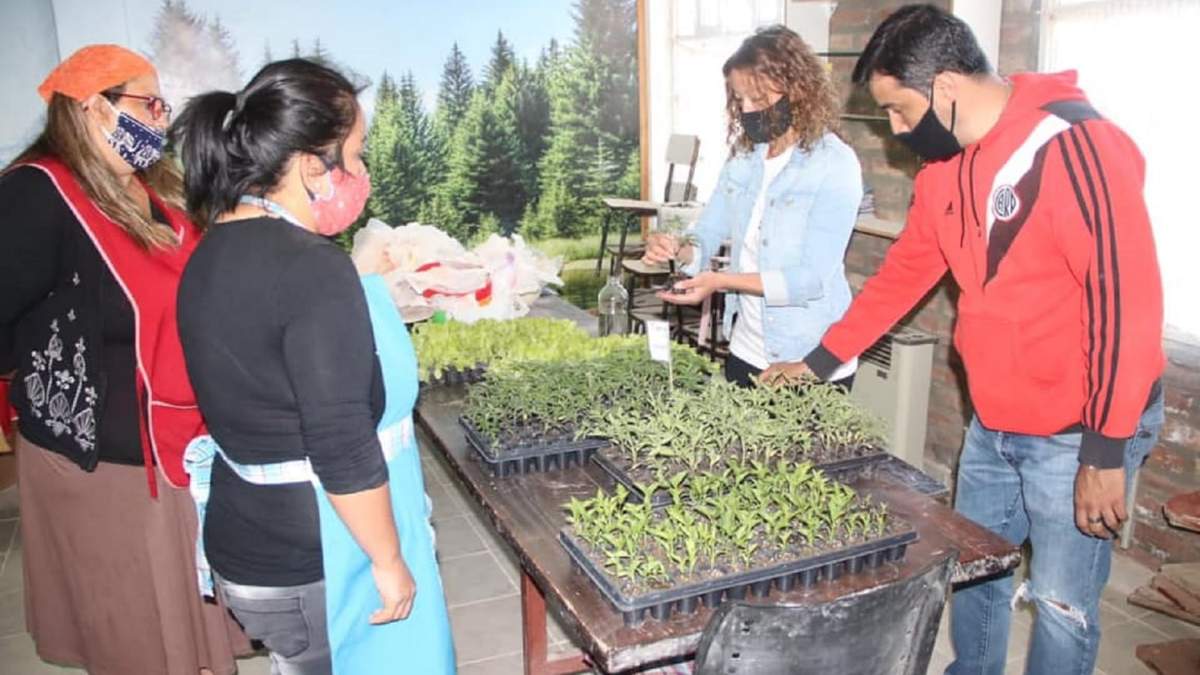 Entrega de 1.300 plantines para huertas urbanas en la ciudad. Fuente: (Twitter)