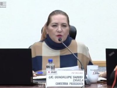 INE autoriza acuerdo para que Guadalupe Taddei realice nombramientos; denuncian irregularidades