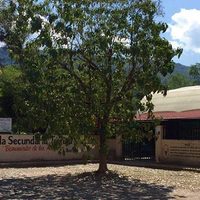 Alumna se sintió mal en la escuela y murió; directora dijo que era 'un berrinche”
