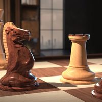Ajedrez: ¿Dedicarse exclusivamente al juego?