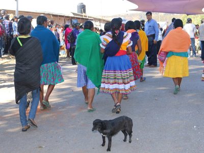 El etnocidio lingüístico en Guerrero: de 25 lenguas originarias a sólo cuatro
