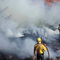 La Conafor reporta 71 incendios forestales activos en el país