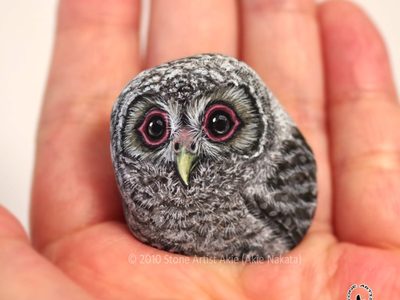Arte y naturaleza: pinta animales sobre pequeñas piedras