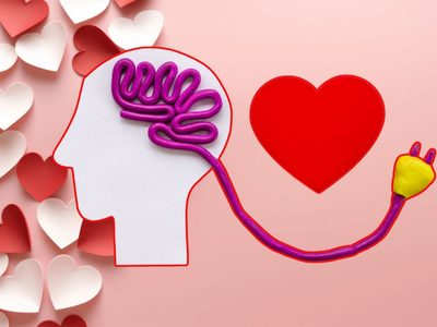 14 de febrero: ¿el amor se siente en el corazón o en el cerebro? Esto dice la ciencia