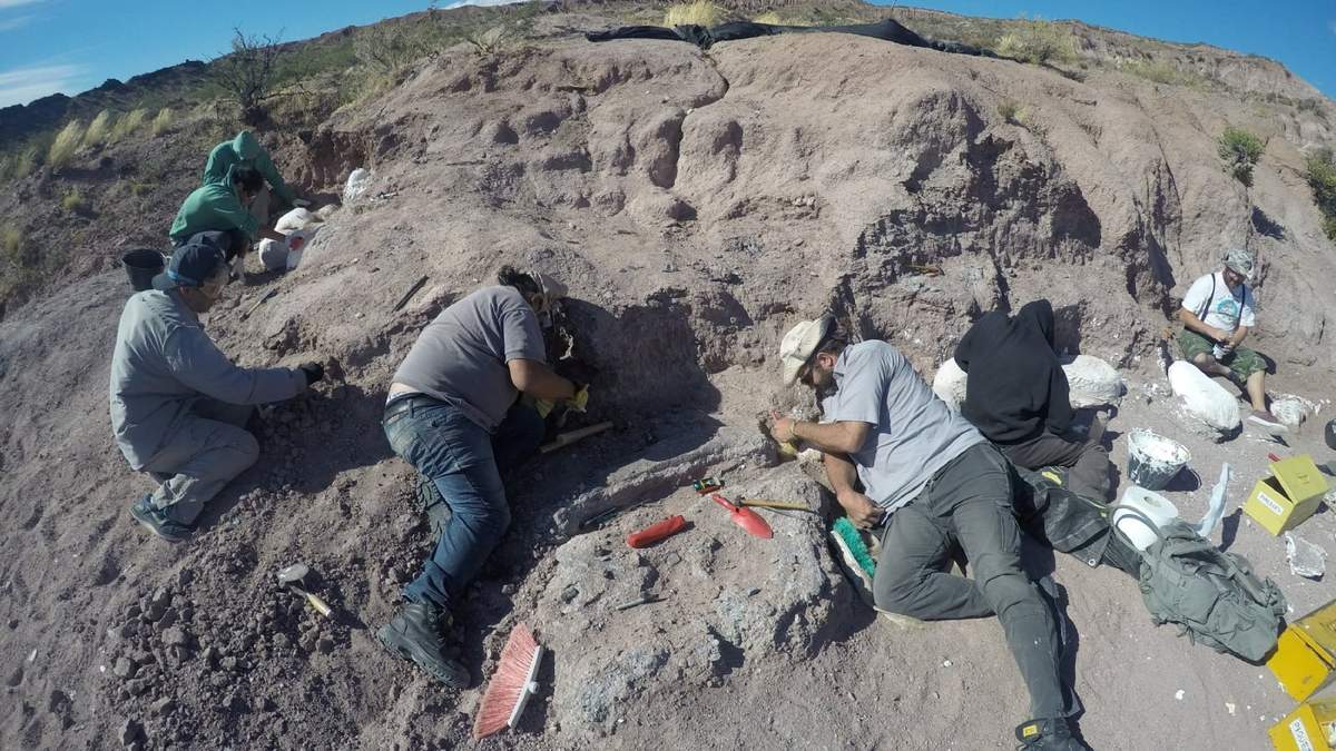 Excavación del Ninjatitan zapatai. Fuente: (Twitter)