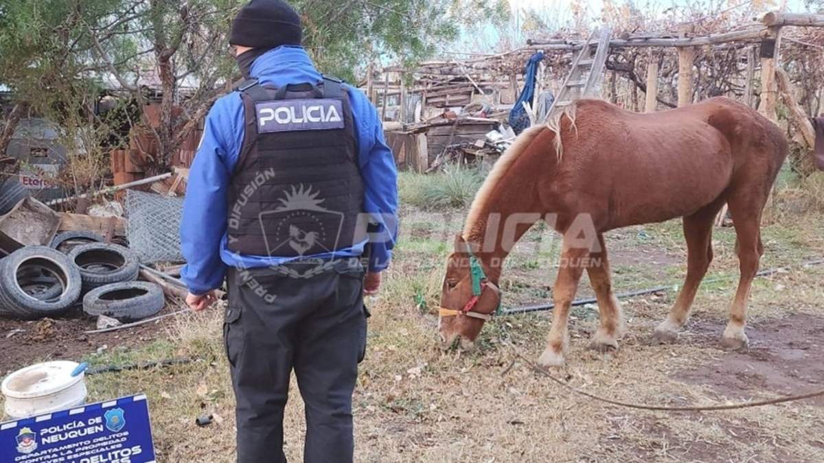 Personal municipal de Centenario verificó las malas condiciones del lugar. Fuente: (Policía de Neuquén)