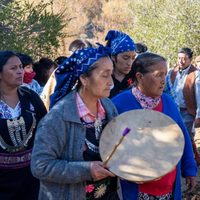 Alrededor de 24 comunidades indígenas cuentan con escritura de dominio en Neuquén