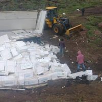 Un camión que transportaba salmón desde Chile volcó y los vecinos pudieron llevarse algunas cajas