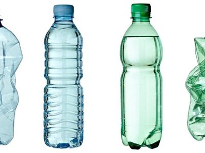 No tires las botellas plásticas: así podés crear la maceta más espaciosa y útil para tus suculentas