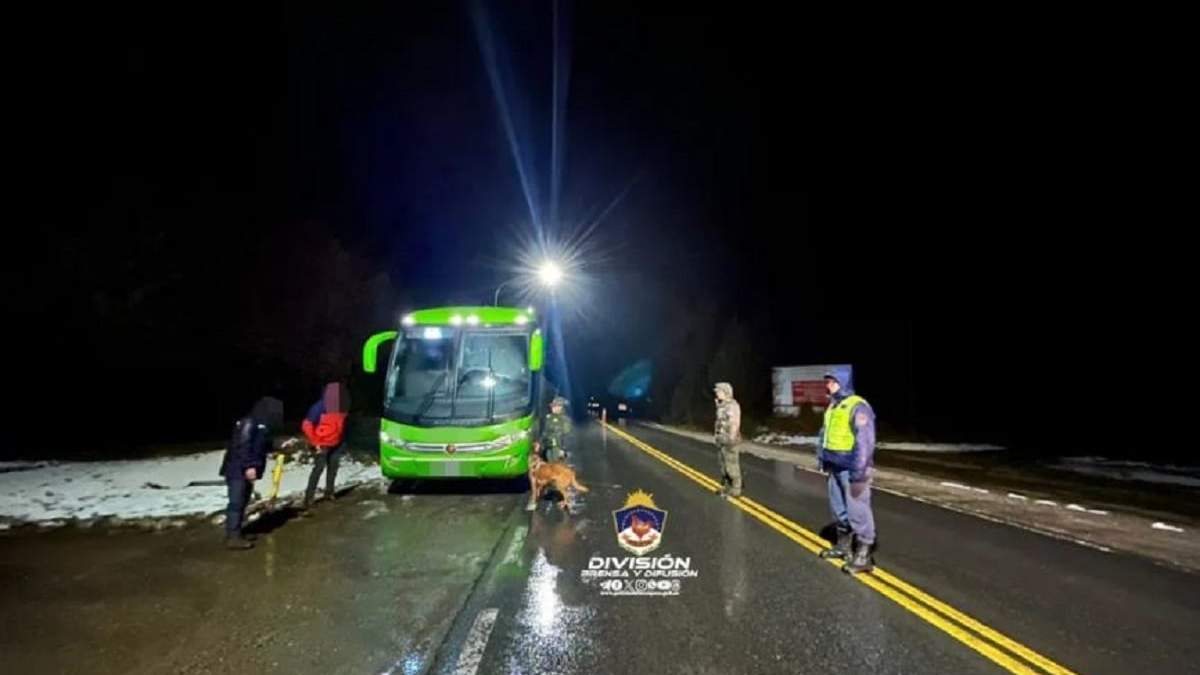 Policía y Gendarmería realizó el control de un colectivo en la Ruta Nacional N° 40. Fuente: (Policía de Neuquén)