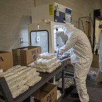En un año, Estados Unidos rebasó los 100 mil muertos por sobredosis de drogas