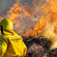 Luego del accidente en Aluminé, qué asistencia reciben los brigadistas
