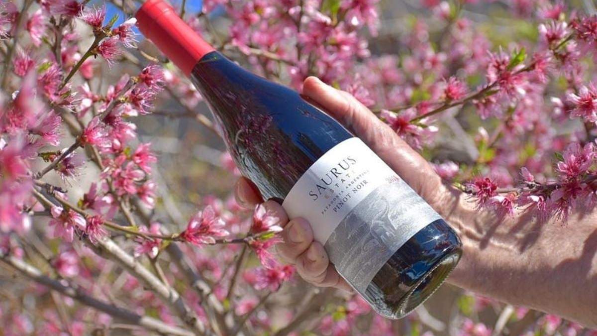 Premian vino de Neuquén. Fuente: (Instagram)