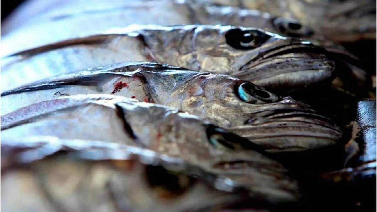 Merluza. Fuente: (Instagram)