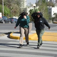 Clima en Neuquén: miércoles con viento persistente, descenso térmico y nubosidad