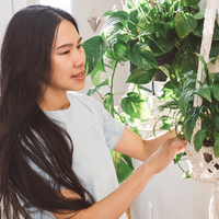 Olvidate de regar de tus plantas con estas macetas de autorriego que podés fabricar vos mismo