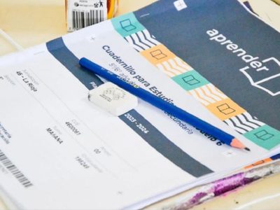 Neuquén en top 4 de bajo rendimiento en lectura: el alarmante ranking que preocupa a la comunidad educativa