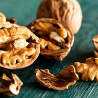 Guardá las cáscaras de nueces: creá estos tiernos adornos para decorar tus plantas