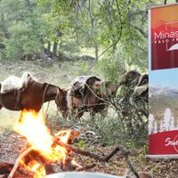 Gutiérrez prometió la apertura del Paso Fronterizo Minas-Ñuble en el norte de Neuquén