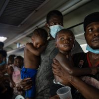 Aseguran a más de 200 migrantes en Veracruz; haitianos se atrincheran en autobús (Video)