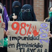 ONU pide a México 'no socavar” presupuesto destinado a combatir la violencia contra mujeres