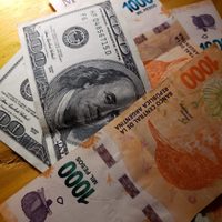 Dólar: la AFIP anunció un importantísimo dato para los ahorristas