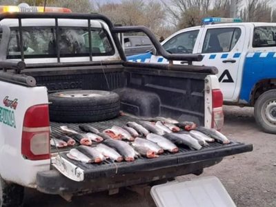 La dirección de Fauna de Neuquén informó sobre el trabajo de seguridad rural y ambiental