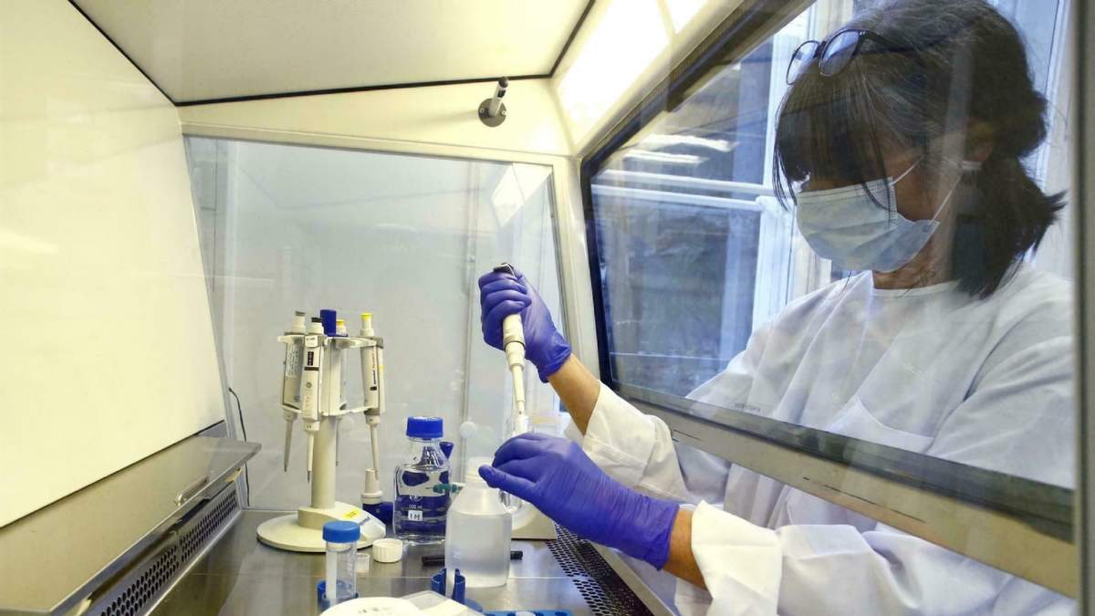 Desarrollo de vacunas contra el coronavirus. Fuente: (Twitter)