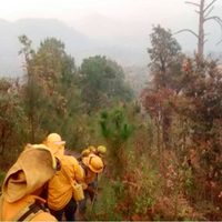 Incendio en Cerro de la Cruz, en Michoacán, ha dejado 250 has. afectadas: Conafor