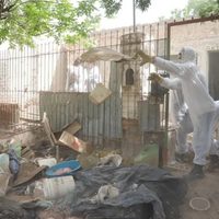 Rescataron a una anciana con síndrome de Diógenes que vivía en estado de abandono en una vivienda de Neuquén